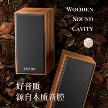 先科（SAST）音響電視組合機  S-10  電腦音響臺式2.0聲道桌面木質藍牙迷你筆記本重低音喇叭外放 